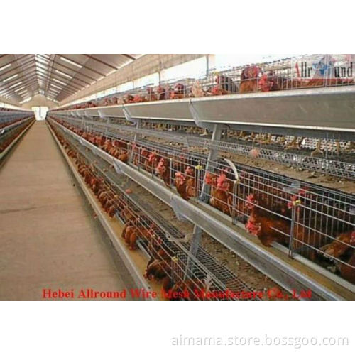 new design layer chicken cages